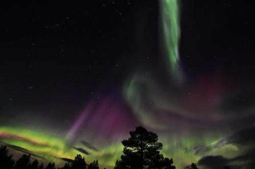 Ounasloma Luxury Cottages - image 11