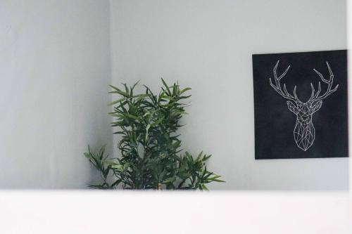 Townend Apartment - image 5