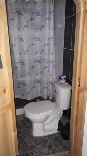 Apartamento central