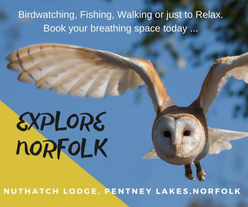 Nuthatch Lodge - image 8