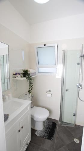 Cute & Cozy Studio Apt in Zichron Yaakov