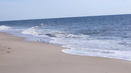 Mini Beach House I Sylt/Rantum