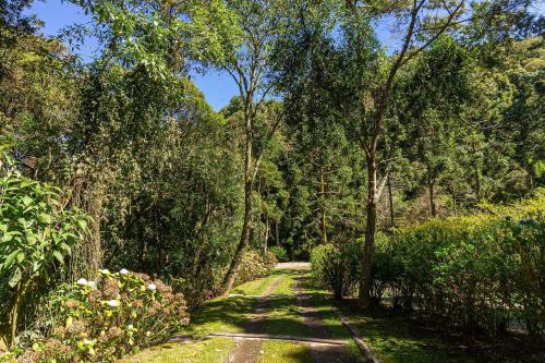 Natureza e área gourmet em Campos do Jordão