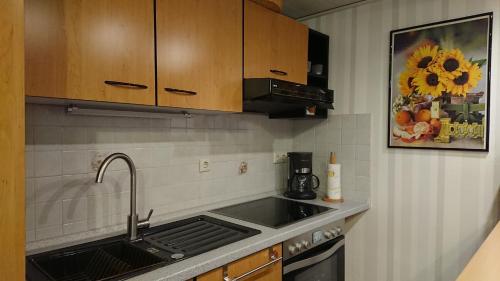 廚房, Ferienwohnung Sonnenblick in 比紹夫斯韋達