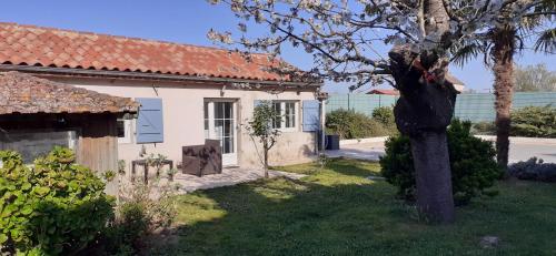 La Guest 47 - Accommodation - Thouars-sur-Garonne