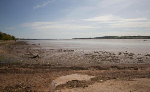 The Globe - image 13