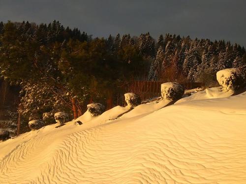A környék, LEŚNY DWOREK 2 (LESNY DWOREK 2) in Wolkowyja