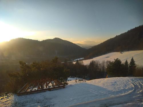 A környék, LEŚNY DWOREK 2 (LESNY DWOREK 2) in Wolkowyja