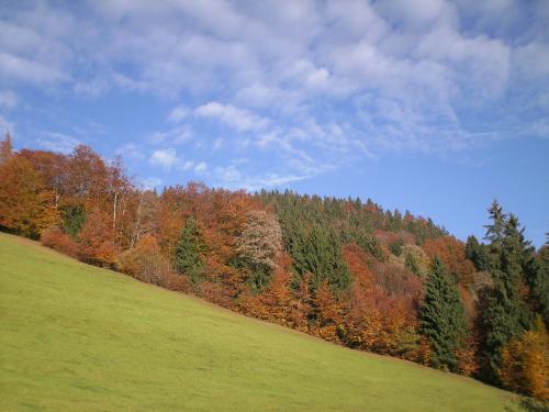 Ferienwohnungen Brunner