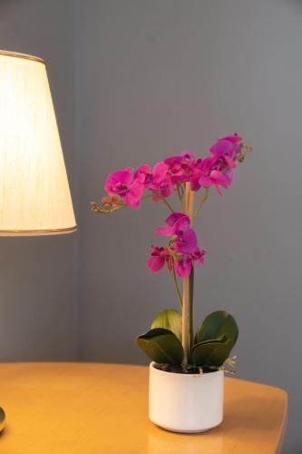 Hotel Ristorante Primavera - image 3