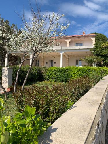  Apartmans and rooms ´´Slavica´´, Pension in Novalja bei Štirovača