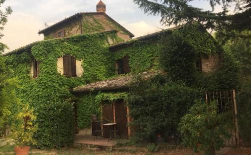 Poggio Etrusco sas di Sheldon Johns Pamela Kay