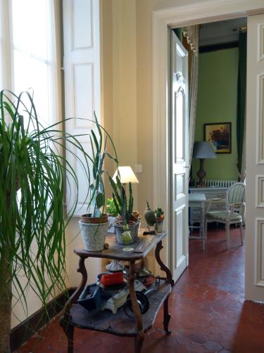 La Petite Saunerie - image 2