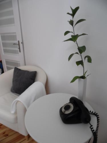 Kierunek Sopot Apartament POMORSKI - image 8