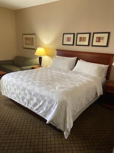 Standard King Room with Sofa Bed - Non-Smoking