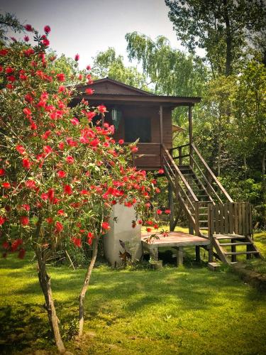 Cabana en Isla del Delta de Tigre - LA CALMA - Tigre