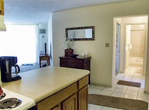 Kauhale Makai 125 - 1 Bedroom Ground Floor Condo Ocean Front Resort Pool - image 8