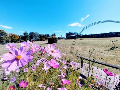 Bathurst Gold Panner Bathurst Gold Panner is perfectly located for both business and leisure guests in Bathurst. Both business travelers and tourists can enjoy the hotels facilities and services. All the necessary facili