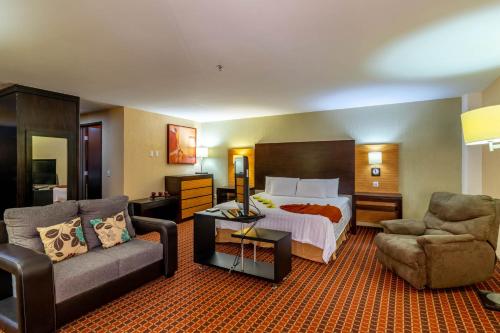 巴黎FC酒店  巴黎FC酒店