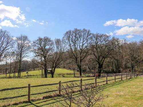 Woodmancote Lodge - image 11
