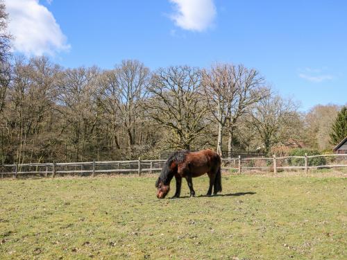 Woodmancote Lodge - image 6