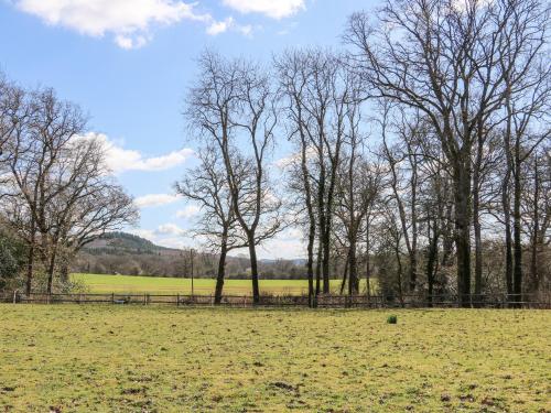 Woodmancote Lodge - image 5