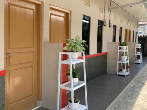 RedDoorz Syariah near Hajimena Lampung