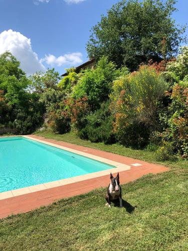 Al Giardino Degli Etruschi