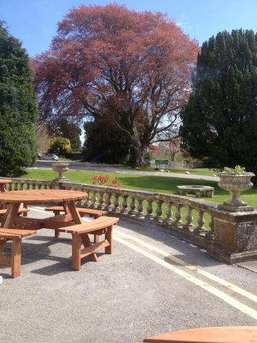 Court Colman Manor - image 13