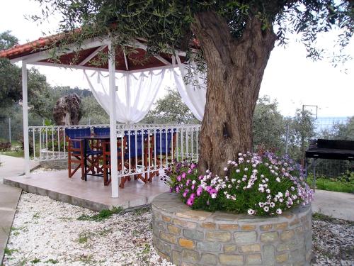 Golden Beach Inn in Thasos