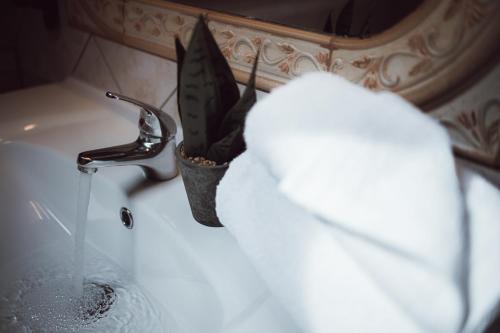 beautiful apartment in the hearth of zagreb