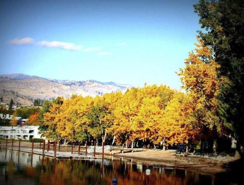 Luxurious Resort Condos on Amazing Lake Chelan - image 4