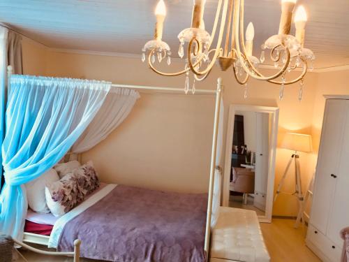 Cozy city studio apartment free parking
