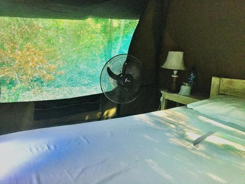 Bamba Kofi Tented Camp Room Type - Tent