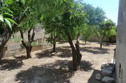Masseria Cricelli - image 6