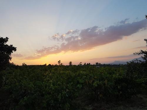 Villa Ioanna