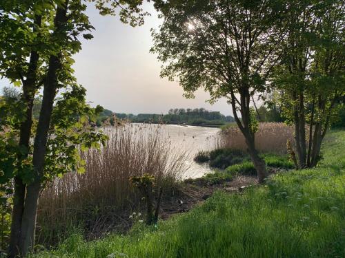 De Koolputten - image 11
