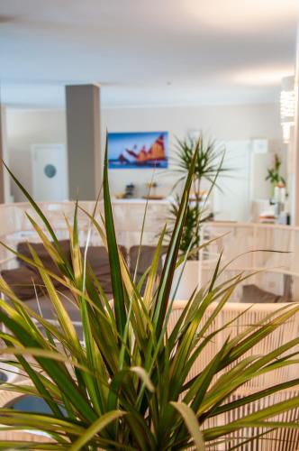 Hotel Park Spiaggia - image 13