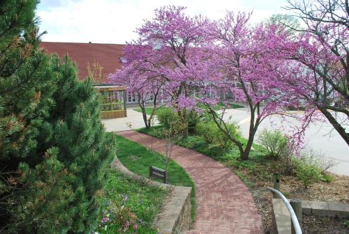 Lied Lodge at Arbor Day Farm