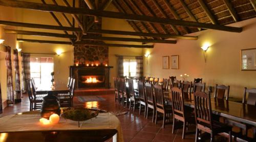 Qabe Private Safaris