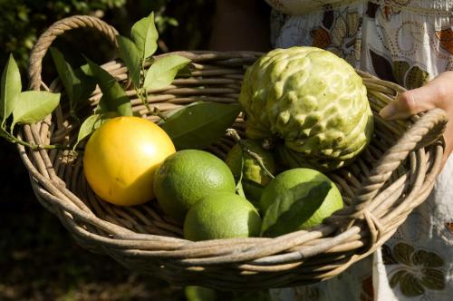 玻璃屋山生态旅馆
