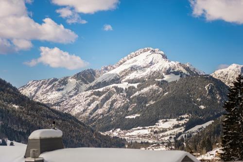 Perle de Savoie - Apt C601 - BO Immobilier- Châtel Multipass 2026 en été en option au tarif de 4euros par jour et par personne - image 5