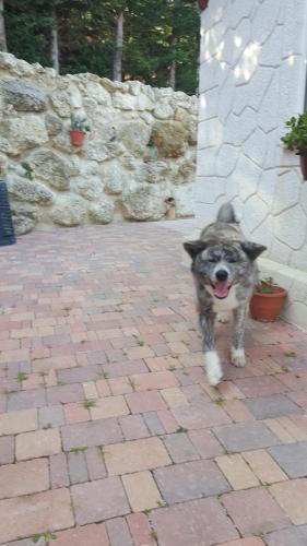 VILLA LUCIA