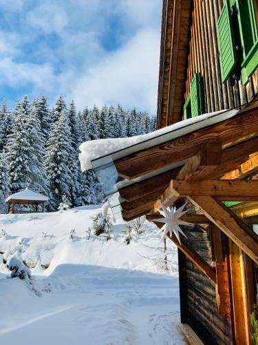 Zirbitz Hütte mit Sauna und Kamin