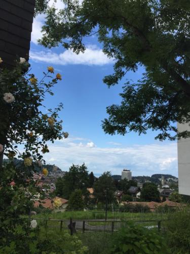 St. Gallen Youth Hostel - image 13