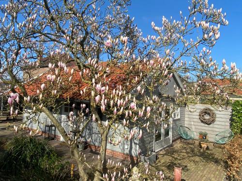  Bed and Breakfast Het Emmapark Medemblik in Medemblik