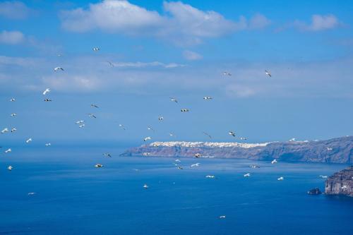 Archontiko Santorini - image 11