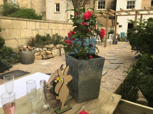 Gorgeous Garden Apartment, Bath (photo 5)