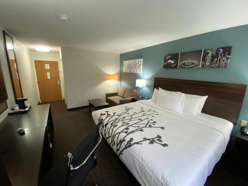 1 king bed, 1 sofa bed