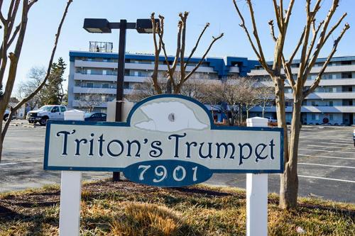 Triton's Trumpet C504